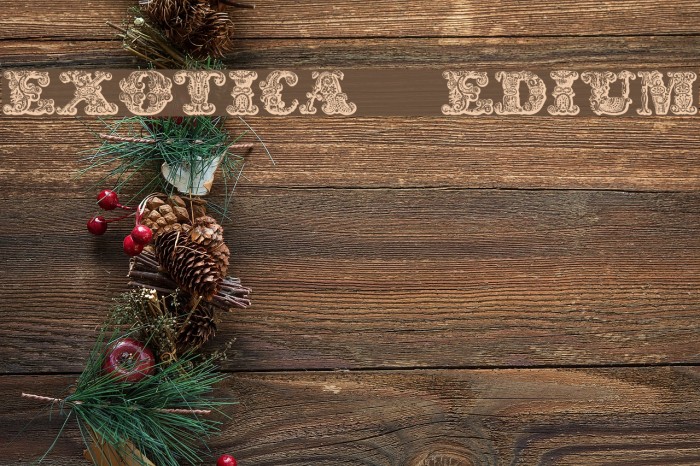 exotica Medium Font examples