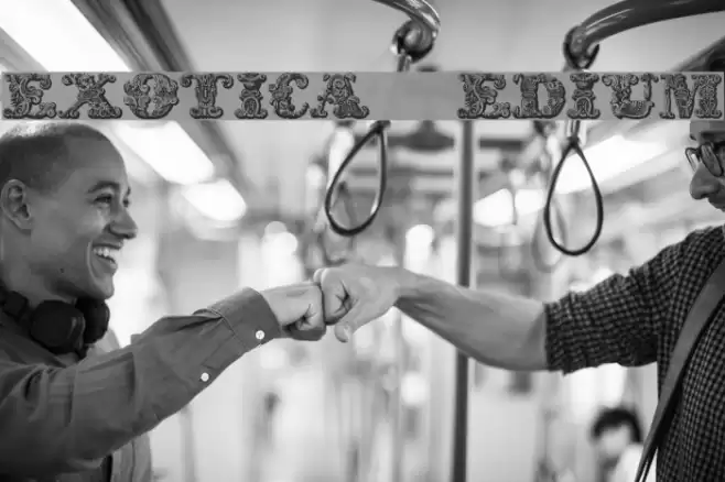 exotica Medium Fonte examples