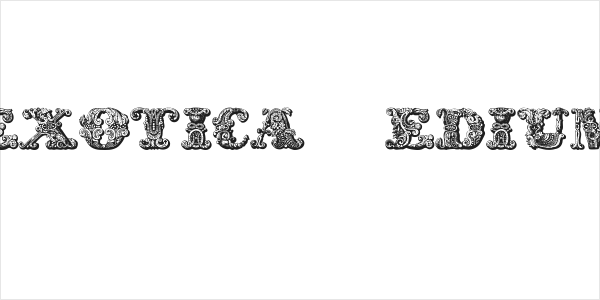 exotica Medium Logo