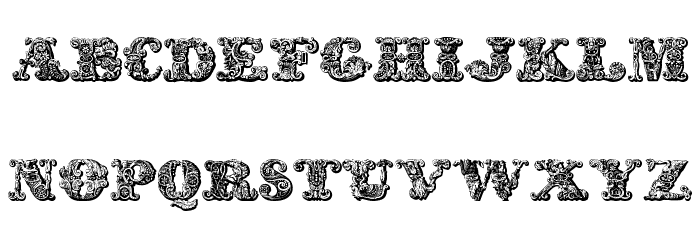 exotica Medium Font LOWERCASE