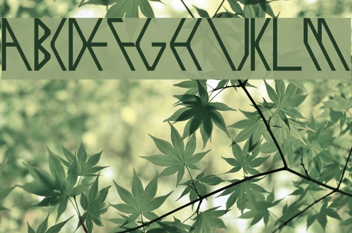 exoziti Regular Font examples