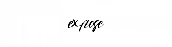 expose  font caratteri gratis