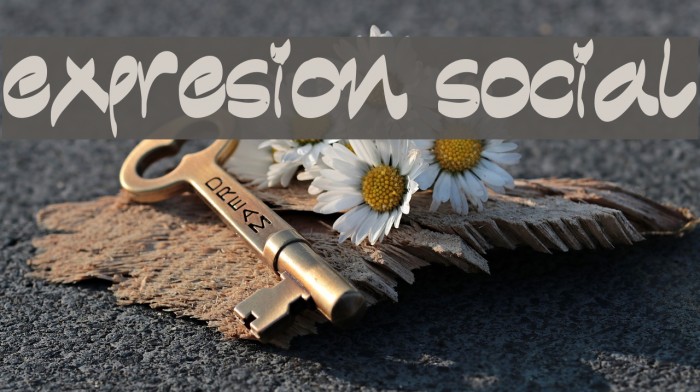 expresion social Font examples