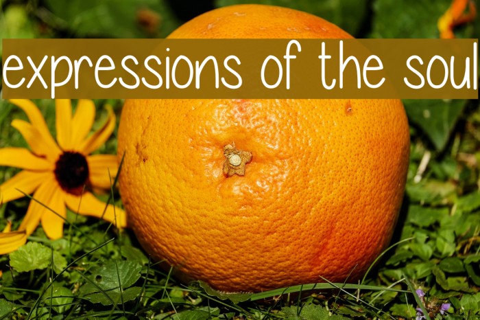 expressions of the soul Font examples