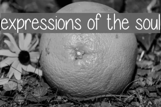 expressions of the soul Font examples