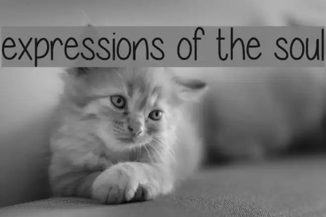 expressions of the soul Font examples