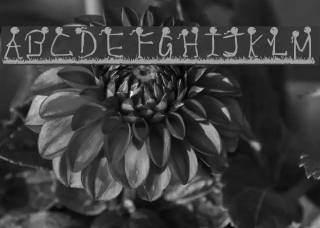 expressions Font examples