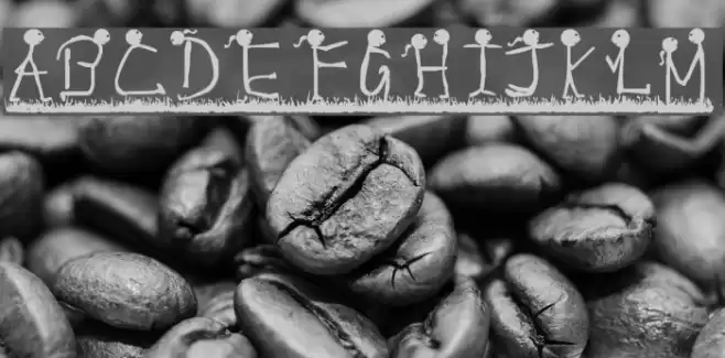 expressions Font examples