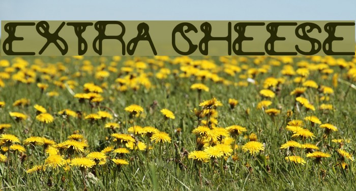 extra cheese Font examples