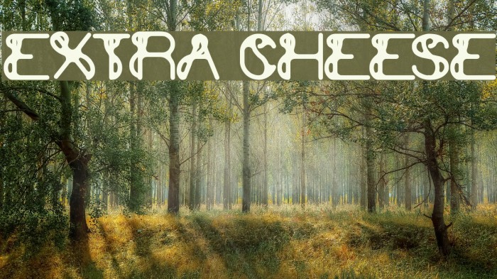 extra cheese Font examples