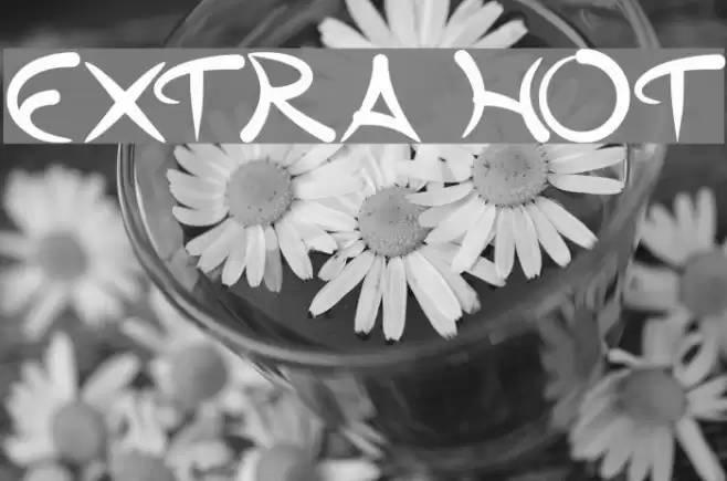 extra hot Font examples