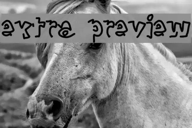 extra preview Font examples