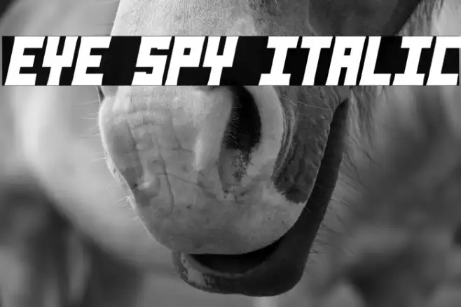 Eye Spy Italic Example 2