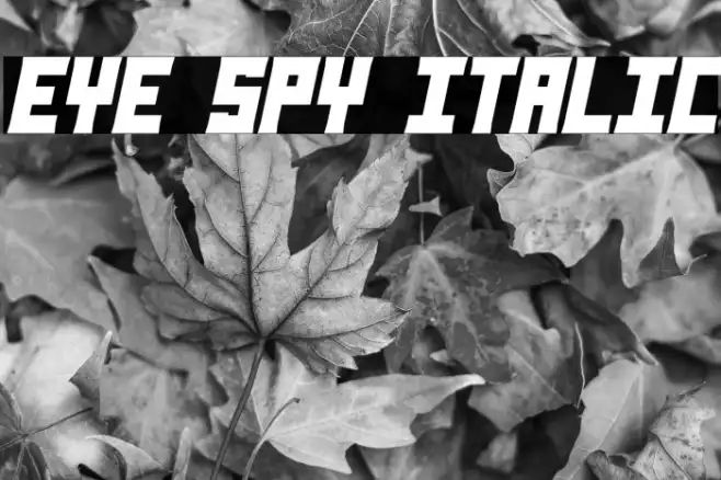 Eye Spy Italic Example 3