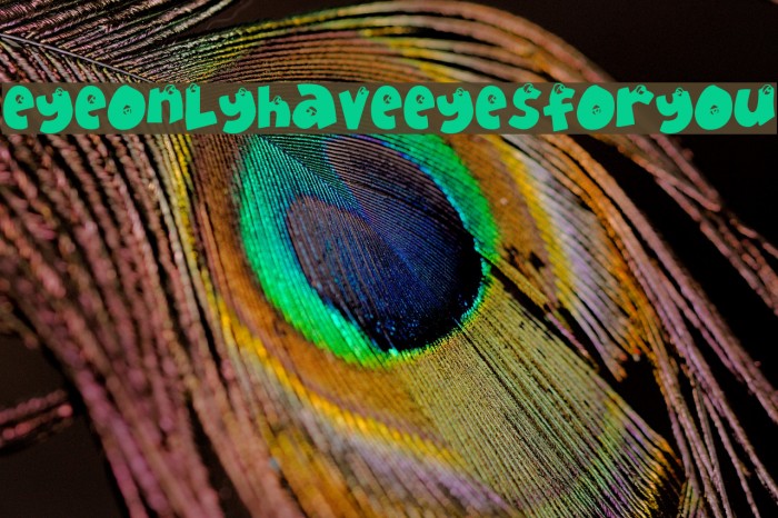EyeOnlyHaveEyesForYou Font examples
