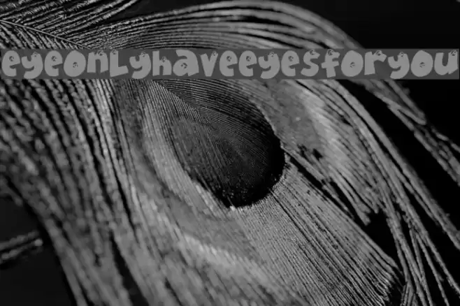 EyeOnlyHaveEyesForYou Шрифта examples