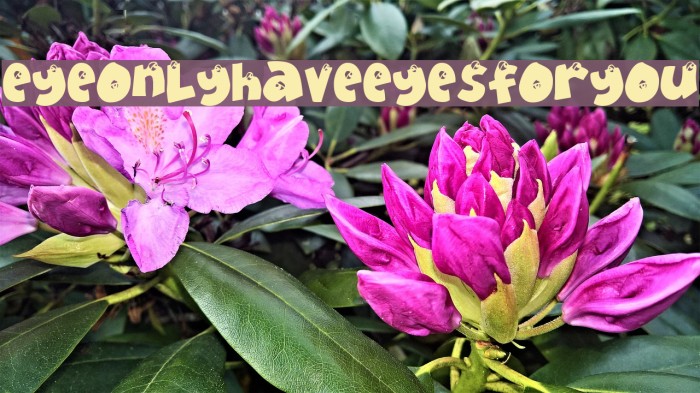 EyeOnlyHaveEyesForYou Font examples