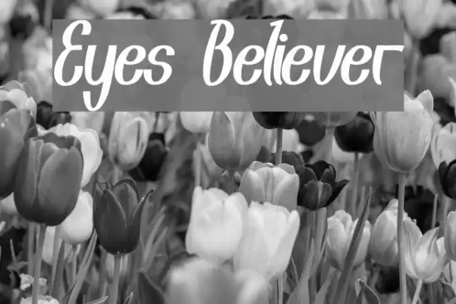Eyes Believer Font examples
