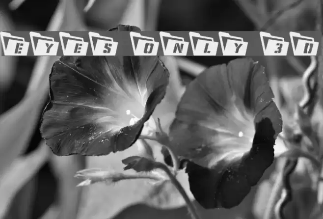 Eyes Only 3D Font examples