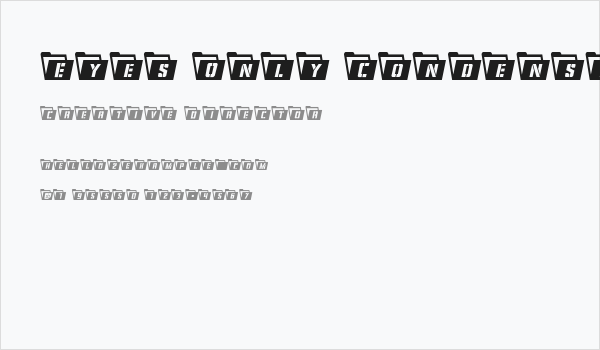 Eyes Only Condensed Business Card