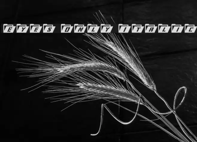 Eyes Only Italic Example 1