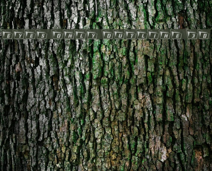 Eyes Only Outline 3D Example 1