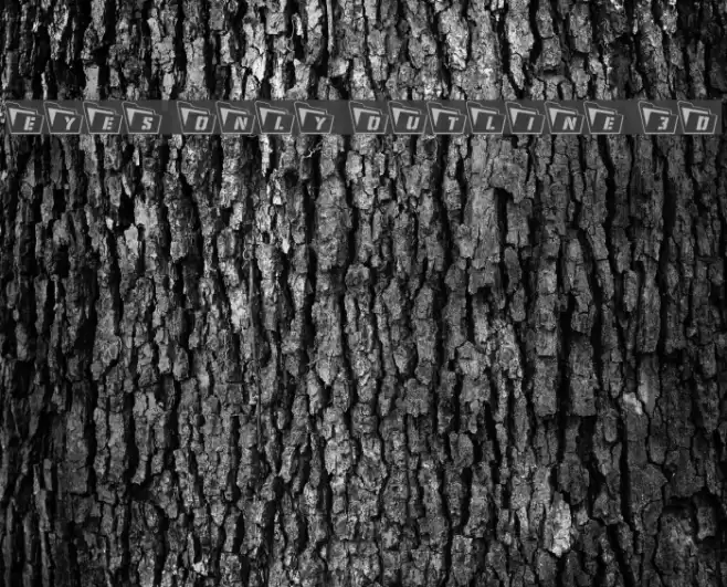 Eyes Only Outline 3D Font examples