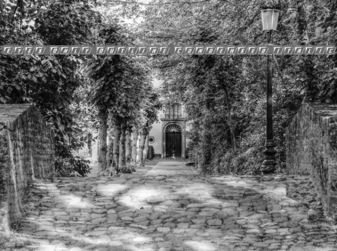 Eyes Only Outline Condensed Italic Font examples