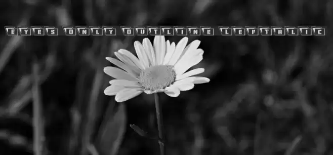 Eyes Only Outline Leftalic Font examples