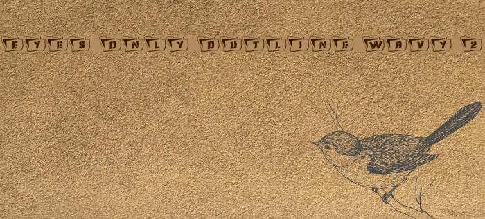 Eyes Only Outline Wavy 2 Font examples