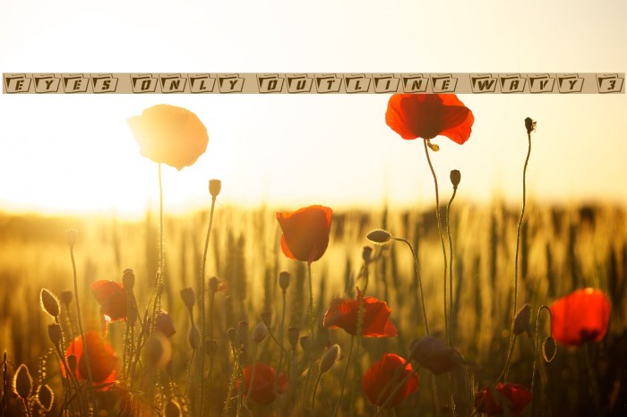 Eyes Only Outline Wavy 3 Example 1