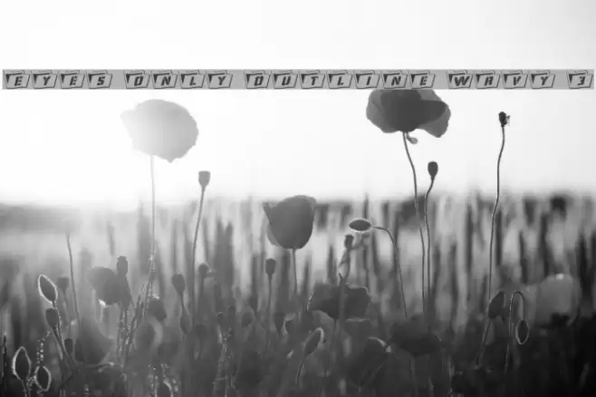 Eyes Only Outline Wavy 3 Font examples