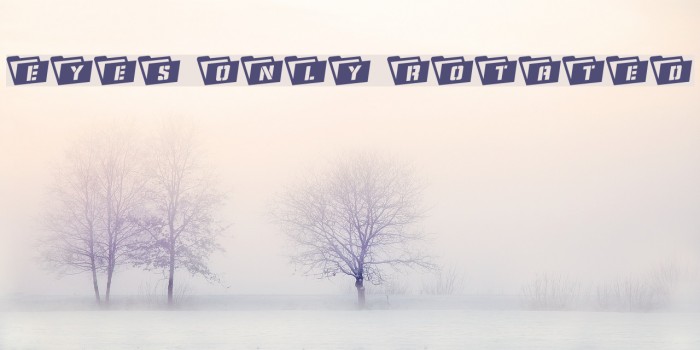 Eyes Only Rotated Example 1