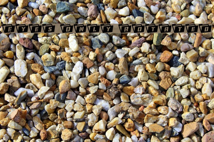 Eyes Only Rotated Example 2