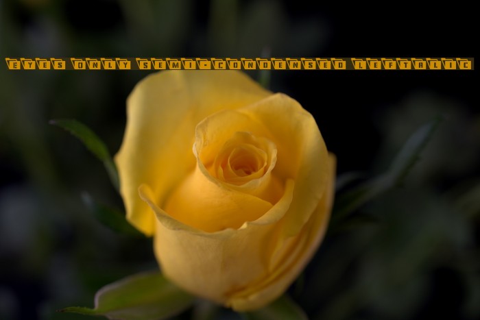 Eyes Only Semi-Condensed Leftalic Example 1