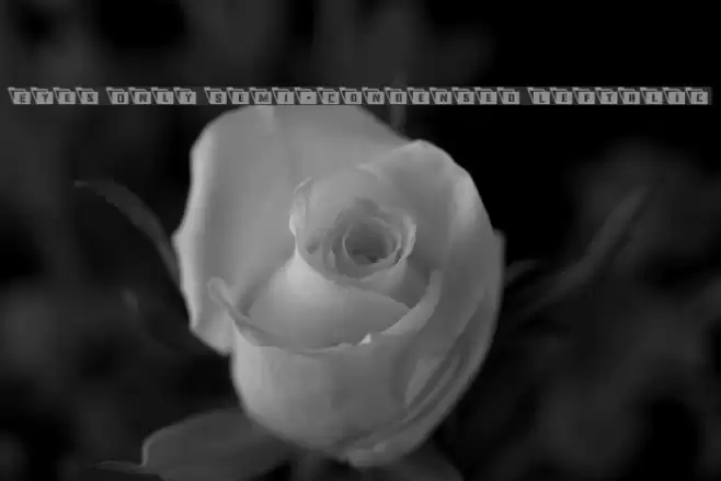 Eyes Only Semi-Condensed Leftalic Font examples