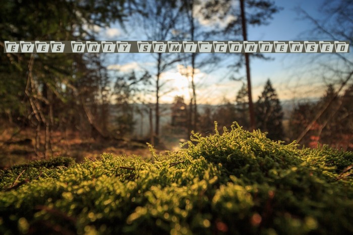 Eyes Only Semi-Condensed Example 2