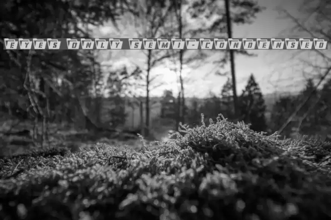 Eyes Only Semi-Condensed Font examples