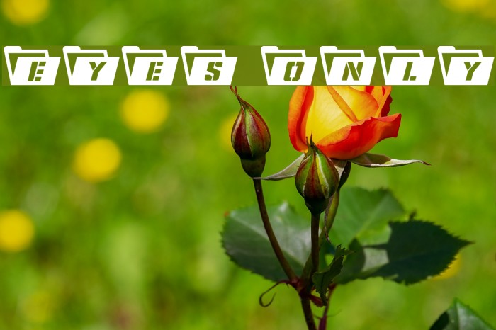 Eyes Only Font examples