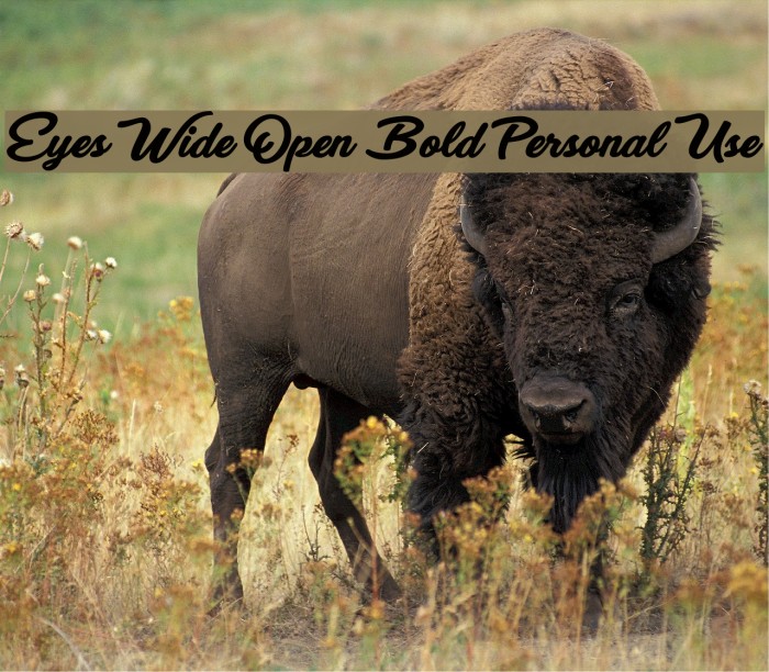 Eyes Wide Open Bold Personal Use Example 2