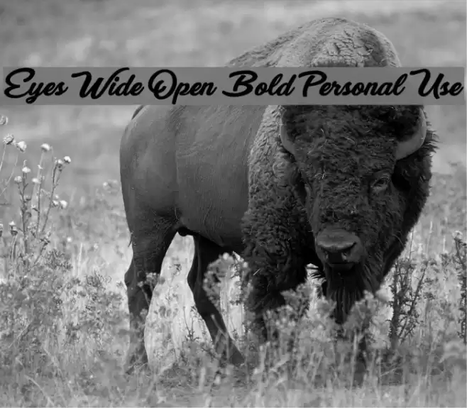 Eyes Wide Open Bold Personal Use Font examples