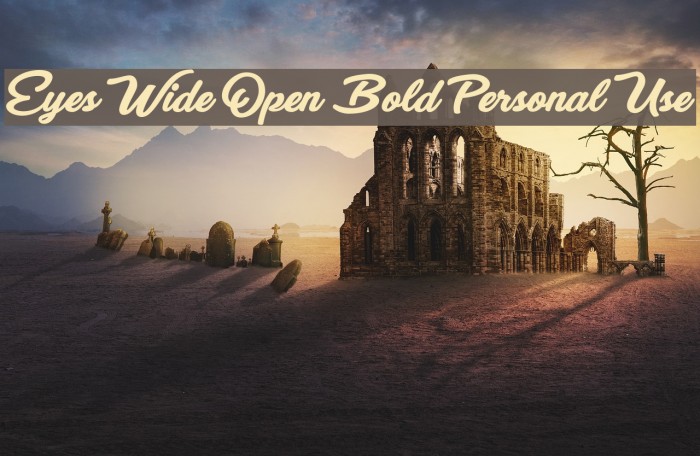 Eyes Wide Open Bold Personal Use Example 3