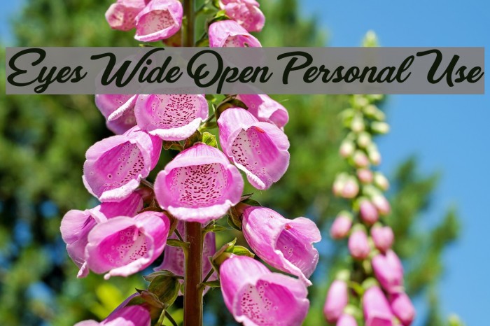 Eyes Wide Open Personal Use Font examples