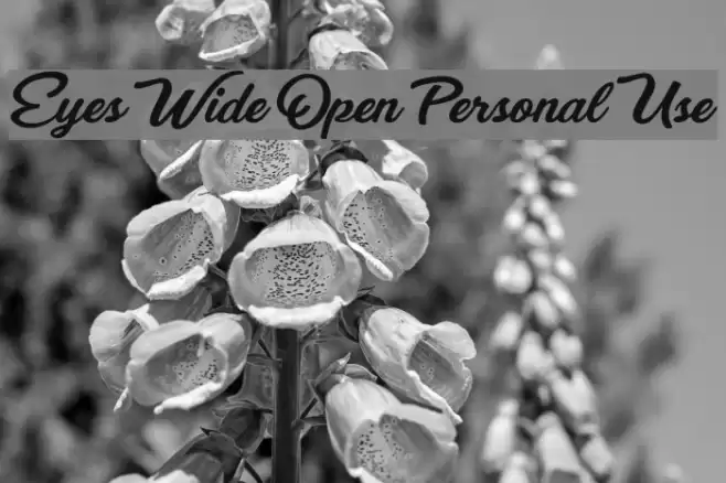 Eyes Wide Open Personal Use Font examples