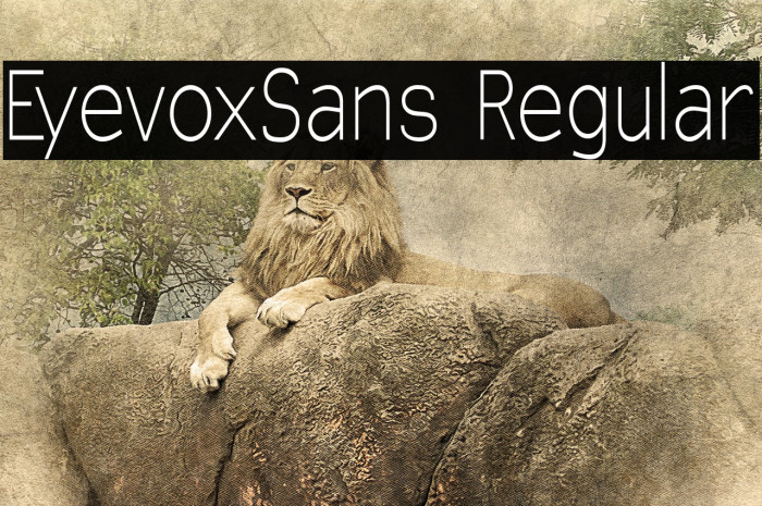 EyevoxSans Regular Font examples