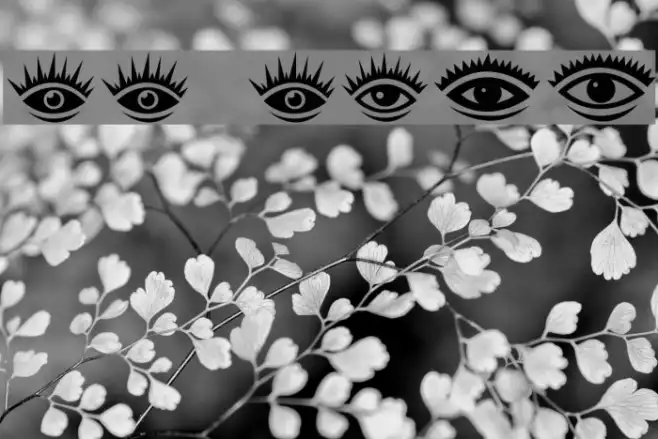 Eyez Regular Example 1