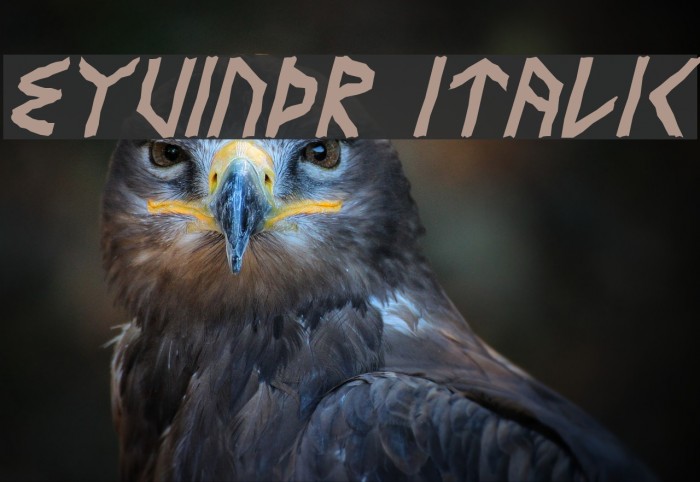 Eyvindr Italic Font examples