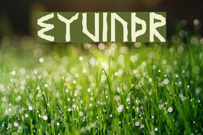 Eyvindr Font examples