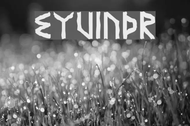Eyvindr Example 1