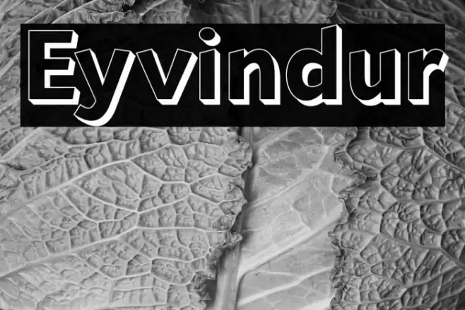 Eyvindur Font examples
